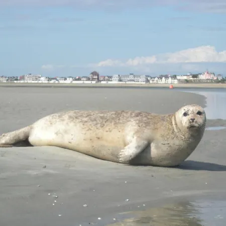 Appartement Studio9 *